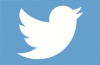 PİNSİS Twitter